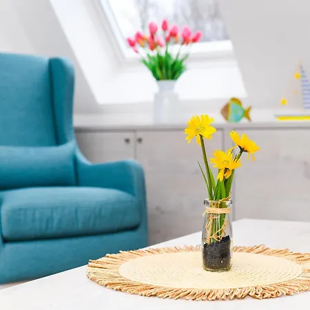 Apartment Gemuetliche Obergeschoss, *